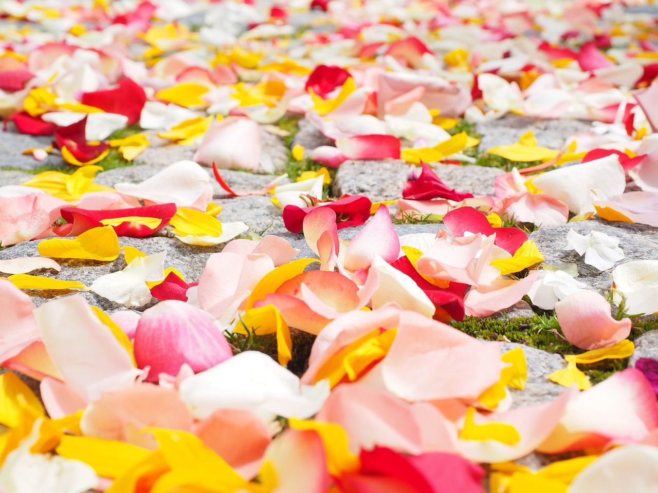 永遠の定番 フラワーシャワー 造花 結婚式 ゴシック 花 ウエディング ペタル ゴスロリ